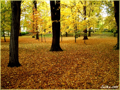 jesen v parku