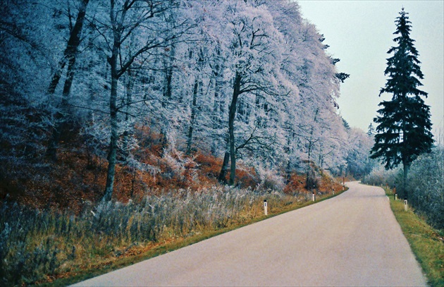 Prvé mrazíky na ceste do Schwarzensee pred 32 rokmi (10.12.1986)