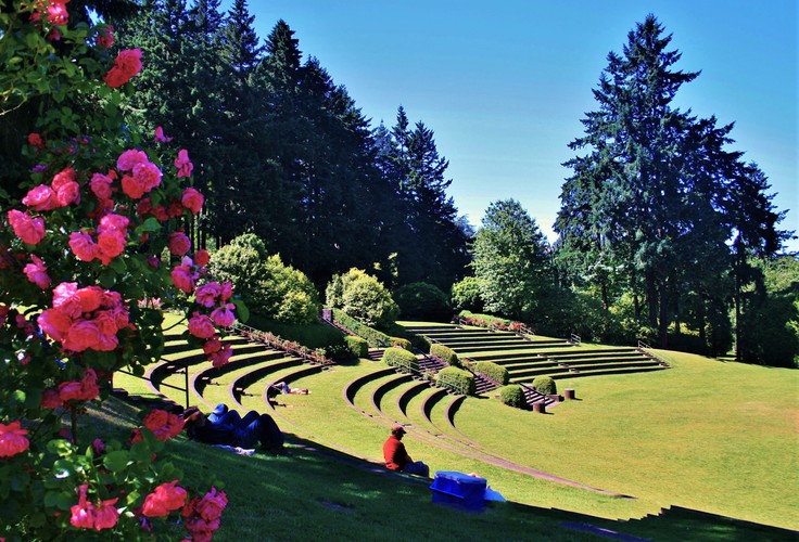  Medzinárodná šľachtiteľská ružová záhrada -  Amfiteáter 