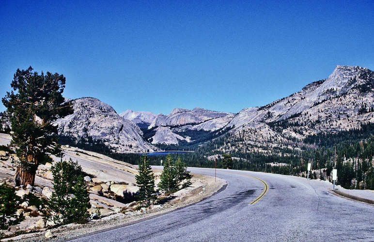 Yosemite National Park, v pozadí  Tenaya Lake...