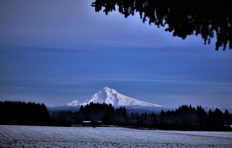 Mount Hood v zime, aj s aurou pod vetvičkou... :)..