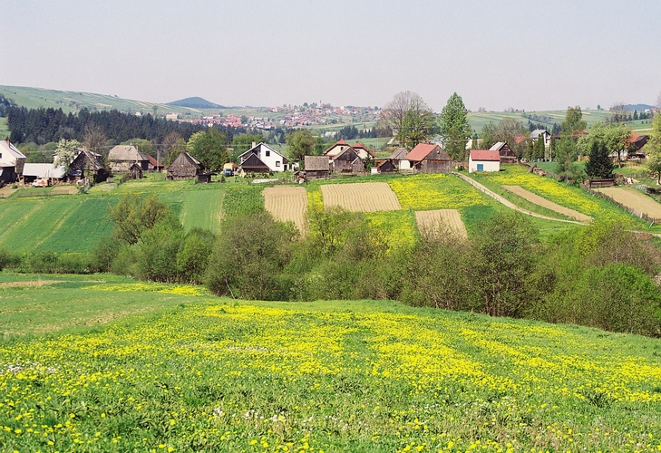 Jar na Orave. V pozadí na kopci je obec Mutné. 19. mája 1999 