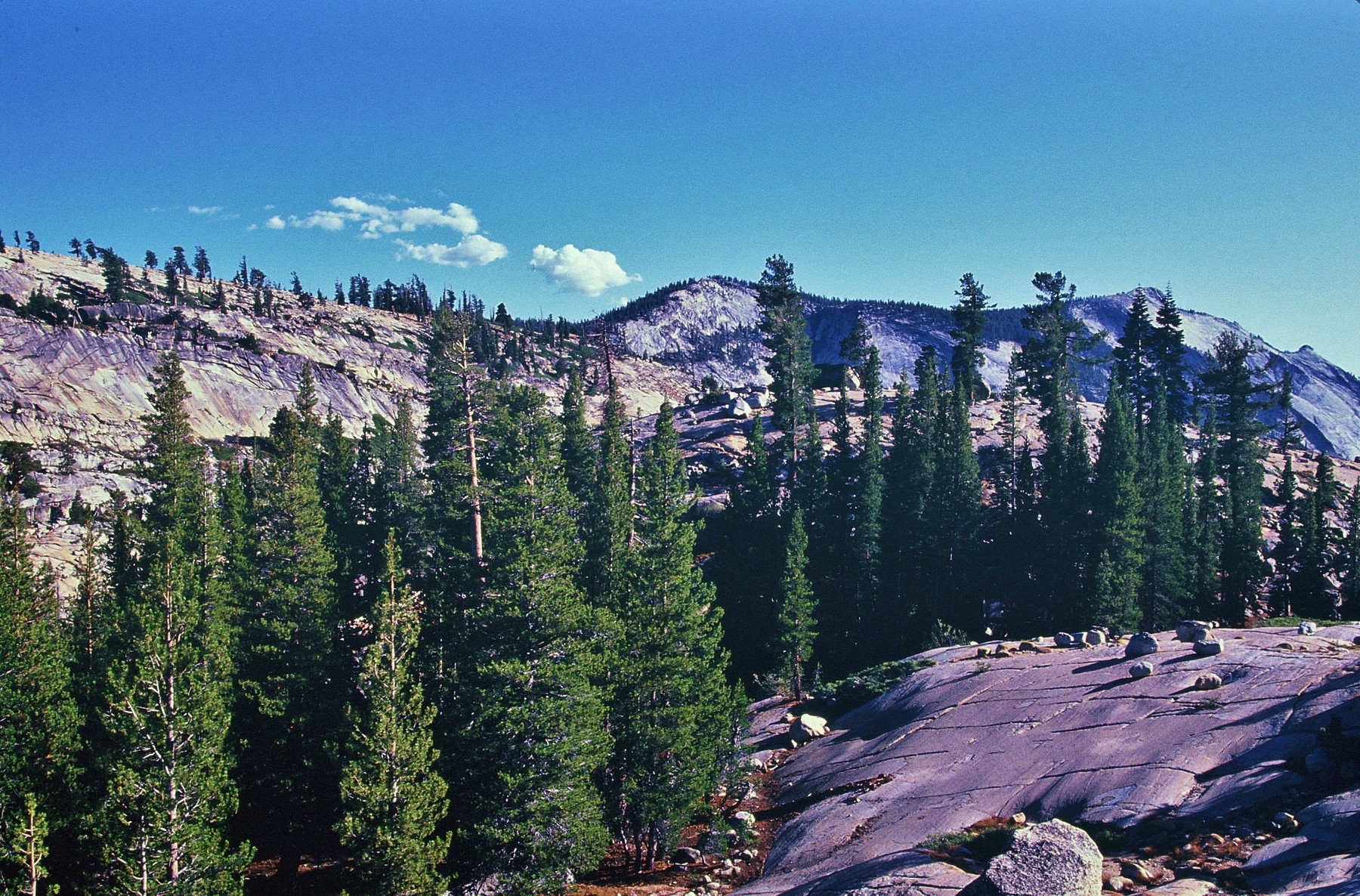 Yosemite National Park... ( 25. septembra 1992 ) 