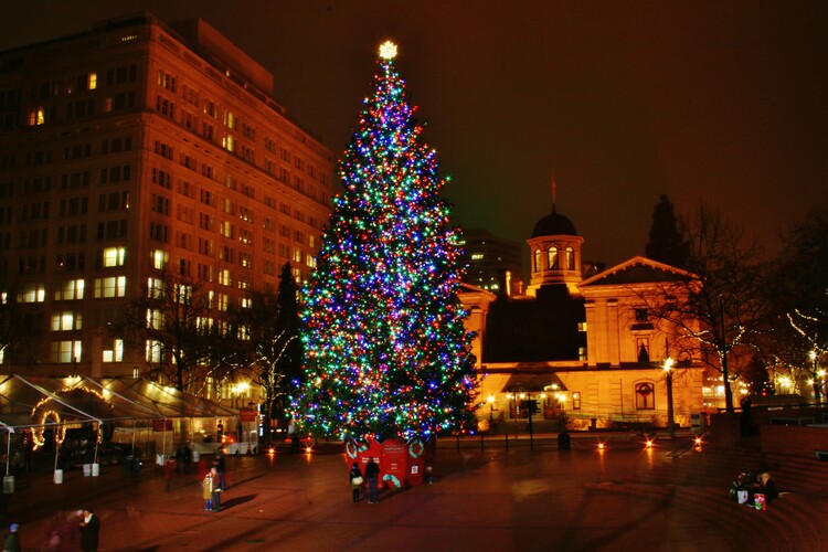Vianočný strom na Pionierskom námestí...