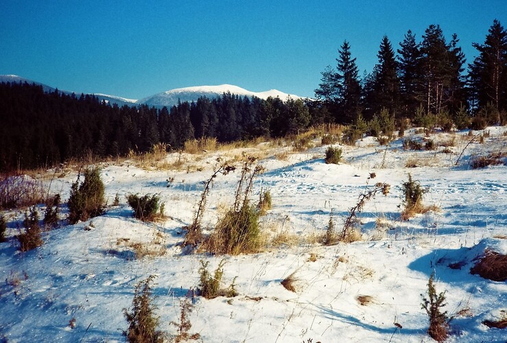 Zima na Holom vrchu... Sobota, 27. dec. 1990