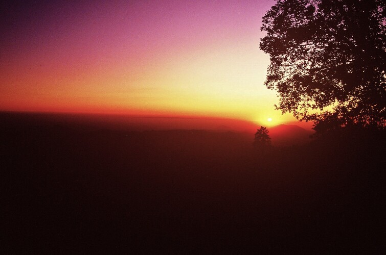 SUNRISE  AT  SEQUOIA  NATIONAL  PARK - 24. septembra 1992, 06:19