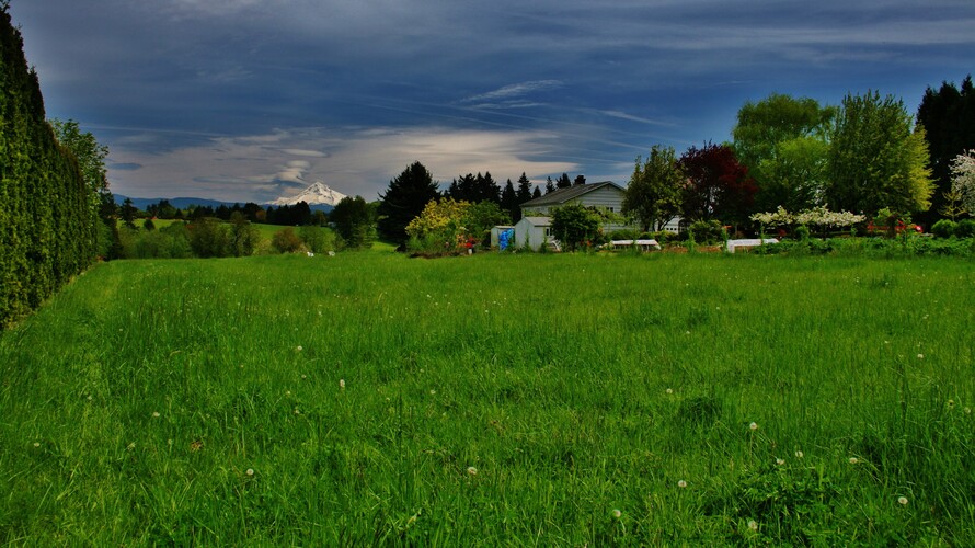 Mount Hood v oblakoch...