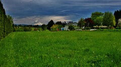 Mount Hood v oblakoch...