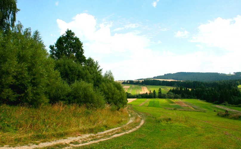 Dolina moja... 