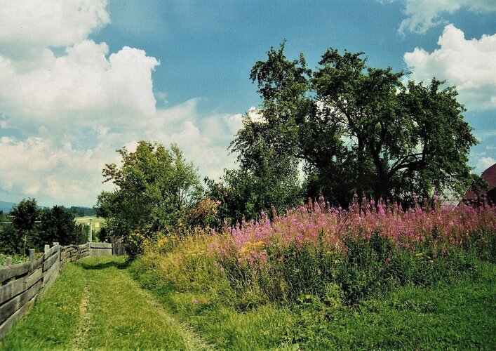 Oravská panoráma... 25. júla 1999