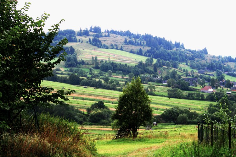 Veselovská panoráma...12. augusta 2000