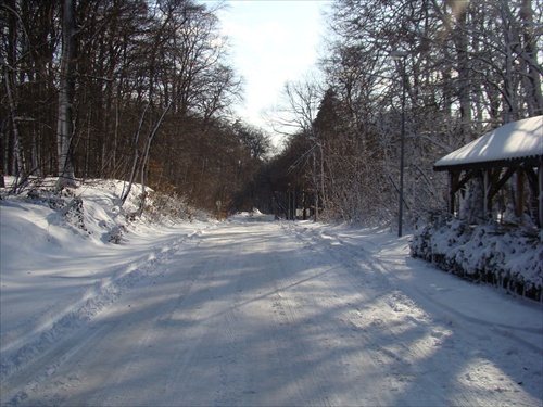 Zimná cesta