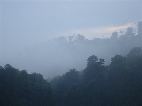 Les v hmle