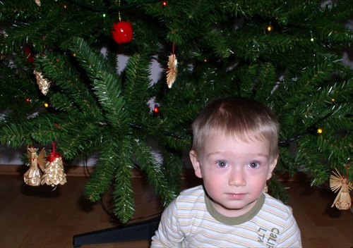 Spomienka na Vianoce 2009