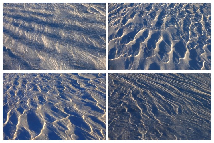 Snehové variácie