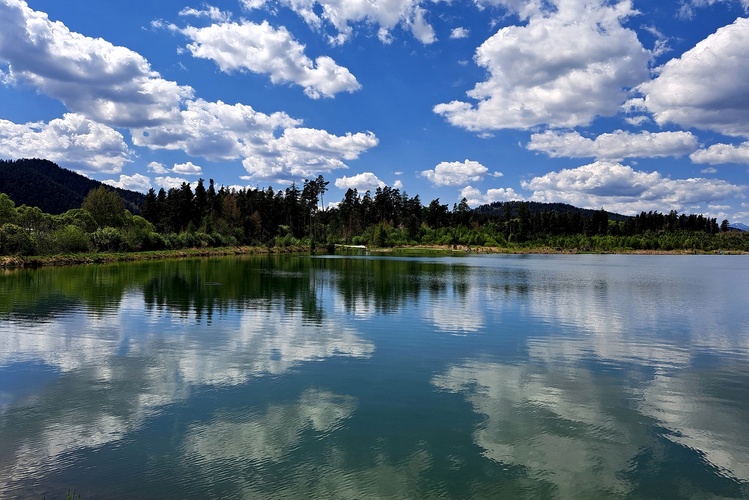 Reflexia