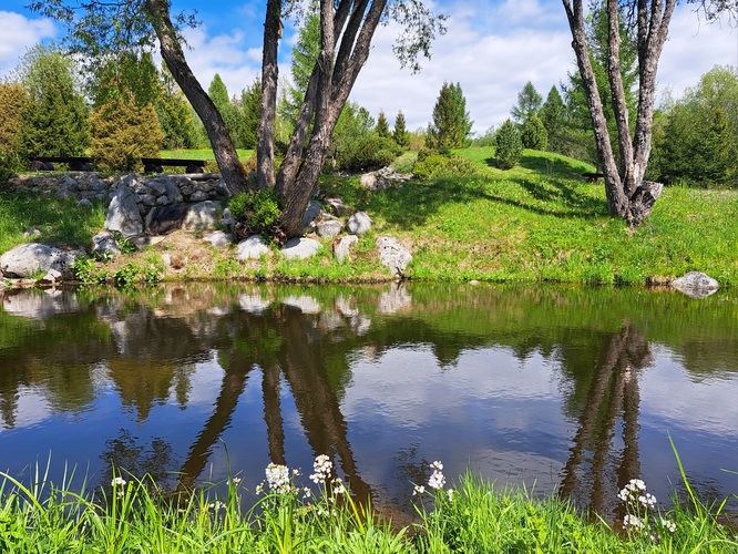 Zrkadlenie