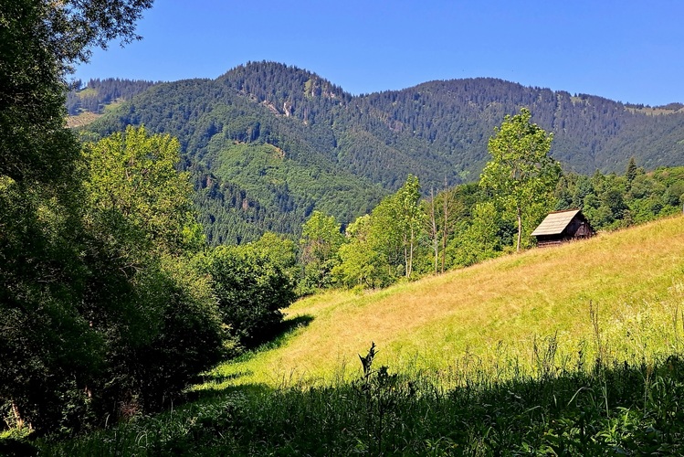 Na lúkach Vlkolinca
