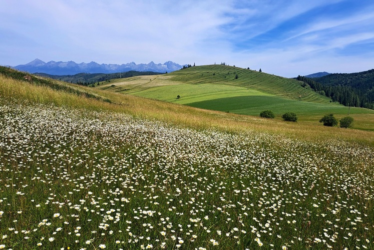 Margaretkovo