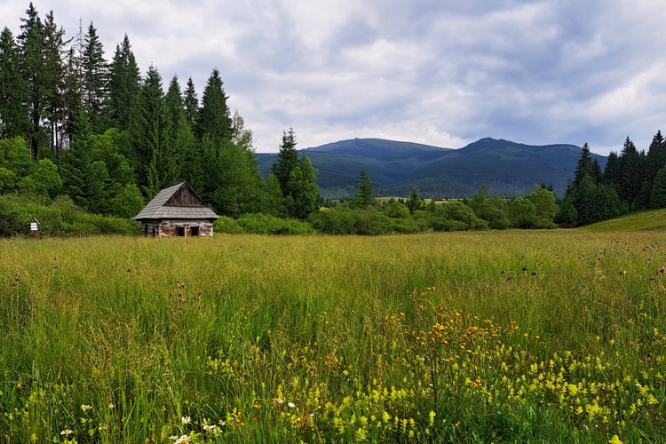 Chamková stodola
