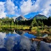 Reflexia