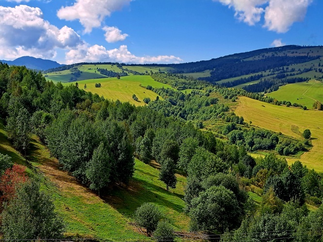 Krasa Oravy