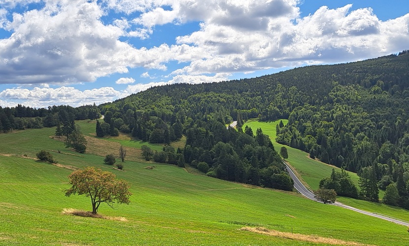 Magurske sedlo