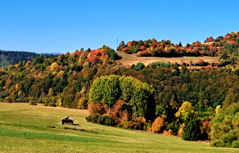 V sedle Pohansko