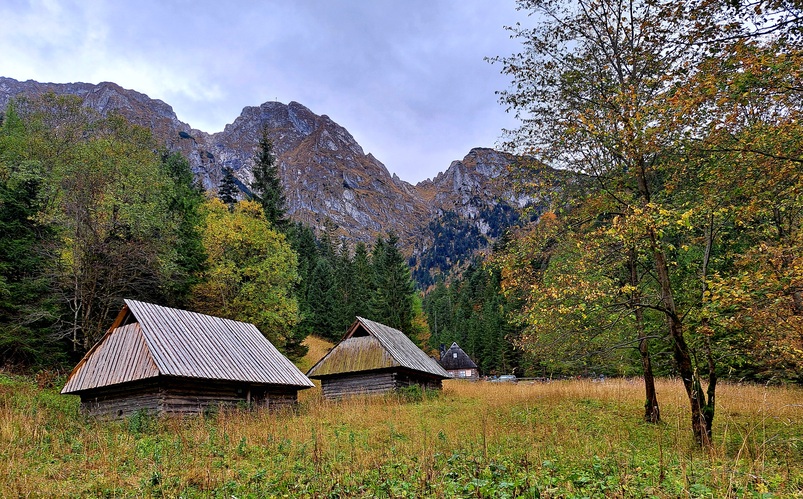 Polana pod Giewontom