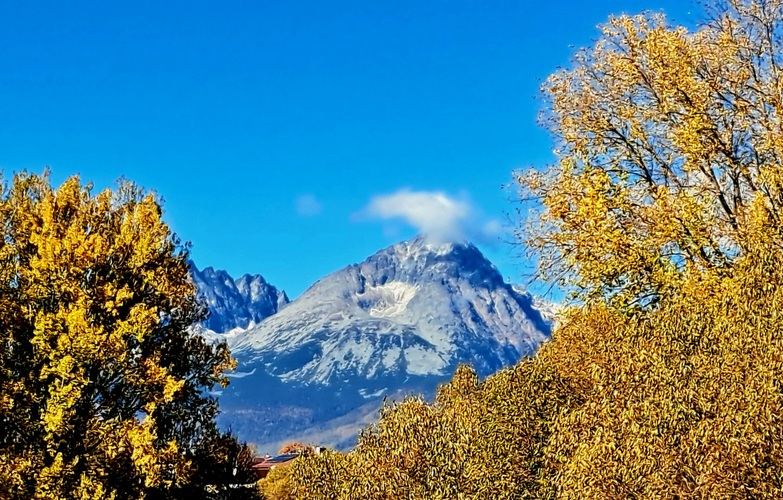 Ked Gerlach fajci