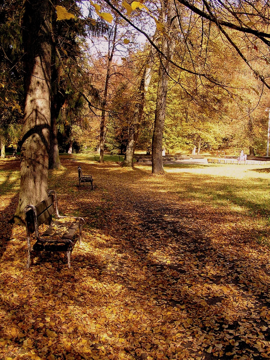 ...o jesenných lavičkách...:-)