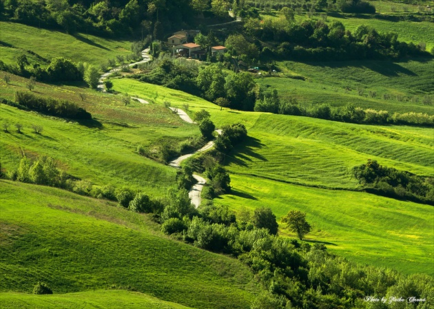 Cestička