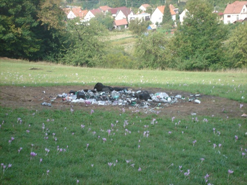 lúka po vatre - Bojnice