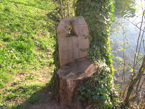 Stolička v prirode