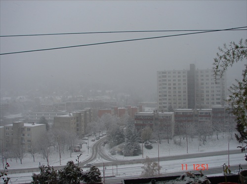 Dnešná snehová nádielka v Dúbravke