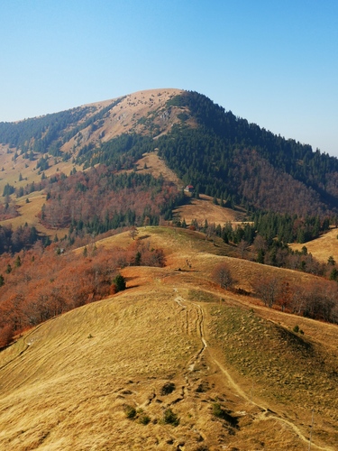 Jeseň pod Borišovom